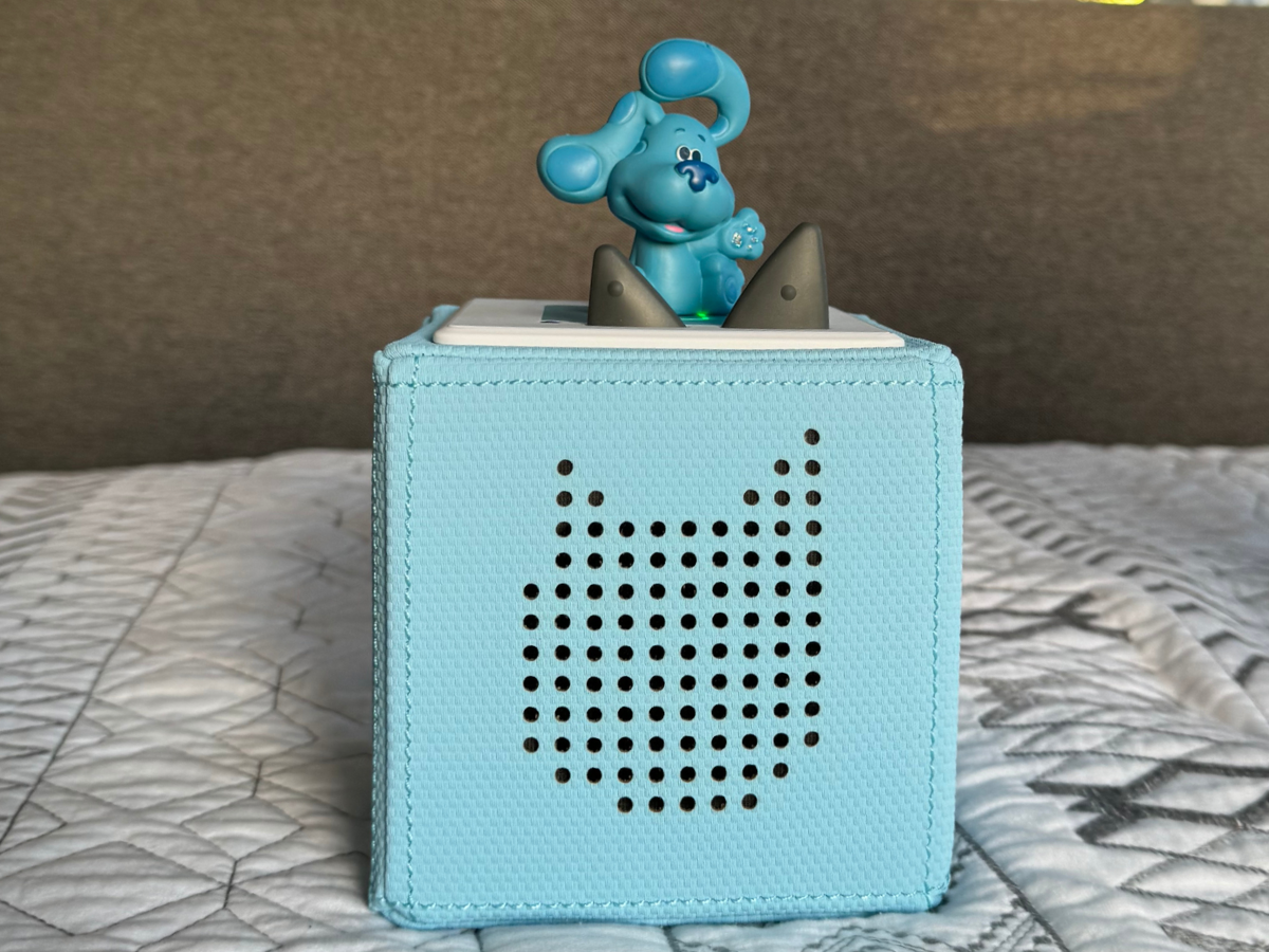 Child Playing With Blue'S Clues & You Tonie