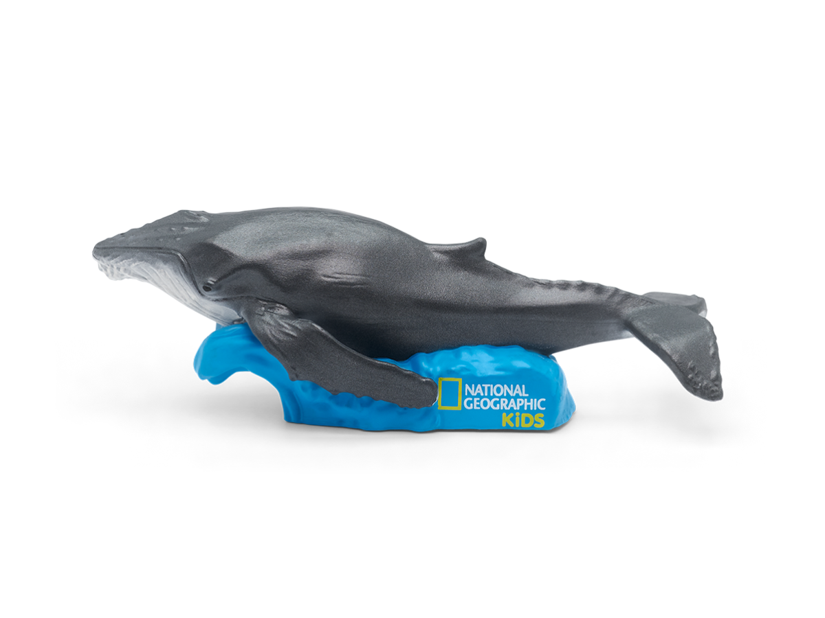 National Geographic Kids: Whale Tonie audio figurine for the Toniebox, which plays audio content